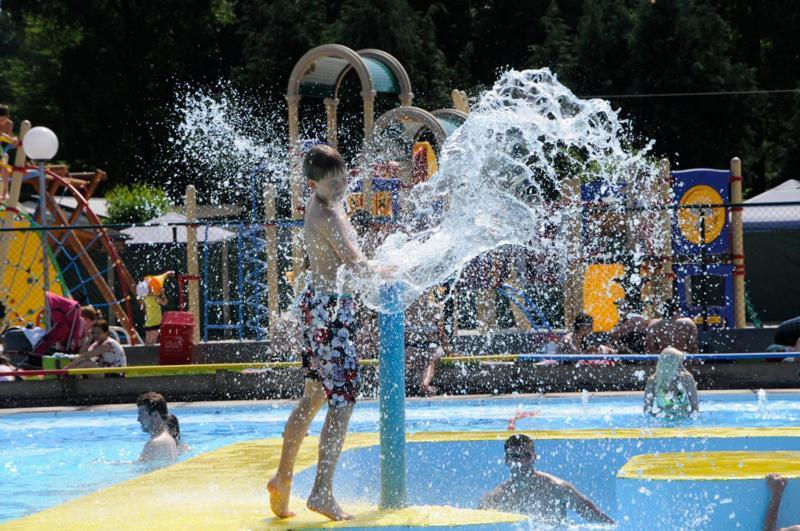 Vakantiepark Wilhelm Tell Superieur Chalet Opglabbeek 外观 照片