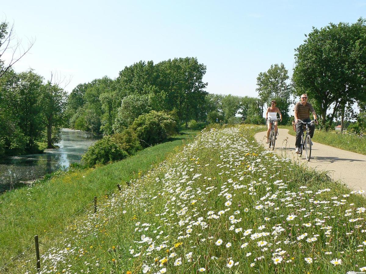 Vakantiepark Wilhelm Tell Superieur Chalet Opglabbeek 外观 照片